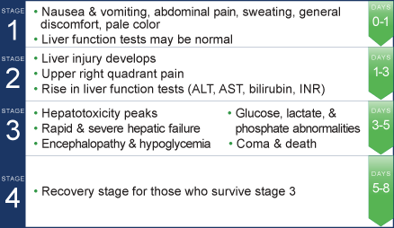 Four stages of acetaminophen overdose